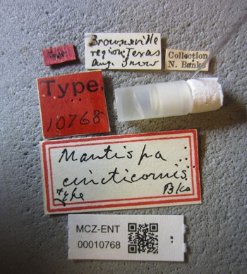 Media type: image;   Entomology 10768 Aspect: labels